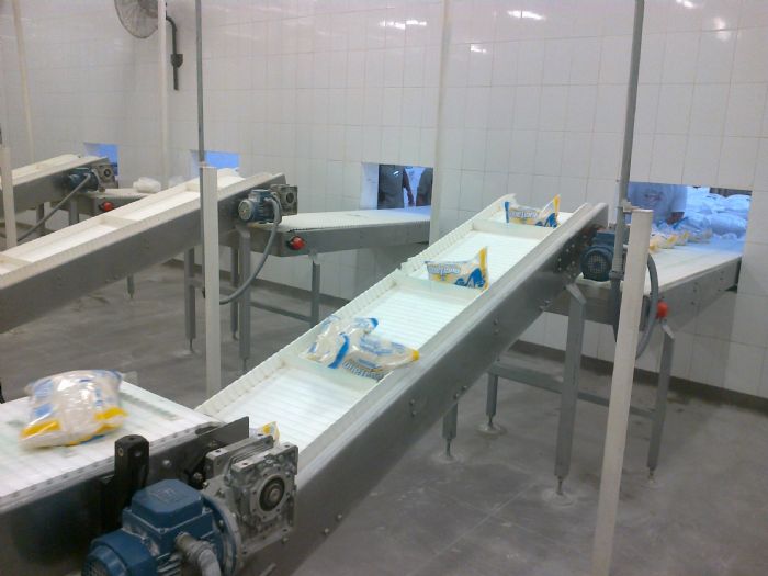 Transportador de Banda con Empujadores - DEXTER