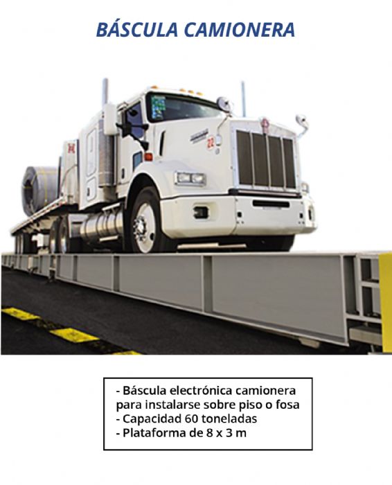 BASCULA CAMIONERA - ESHER