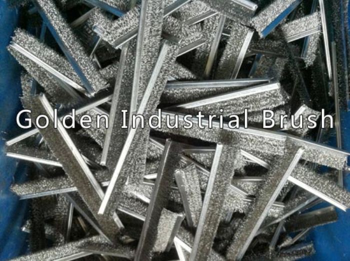 Tira cepillo  - Golden 