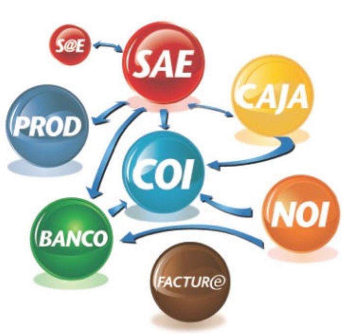 CONSULTORIA EN SISTEMAS ASPEL - ASPEL