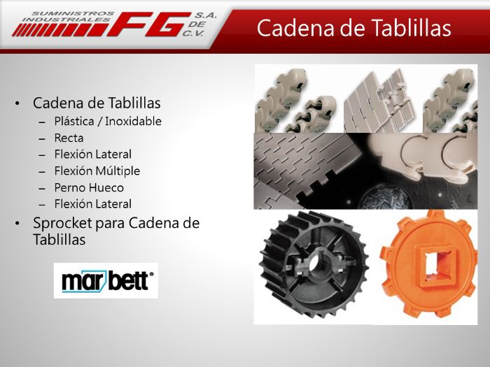 Cadena de Rodillos Tablillas Ingenieria - Rexnord Link-Belt D.I.D.