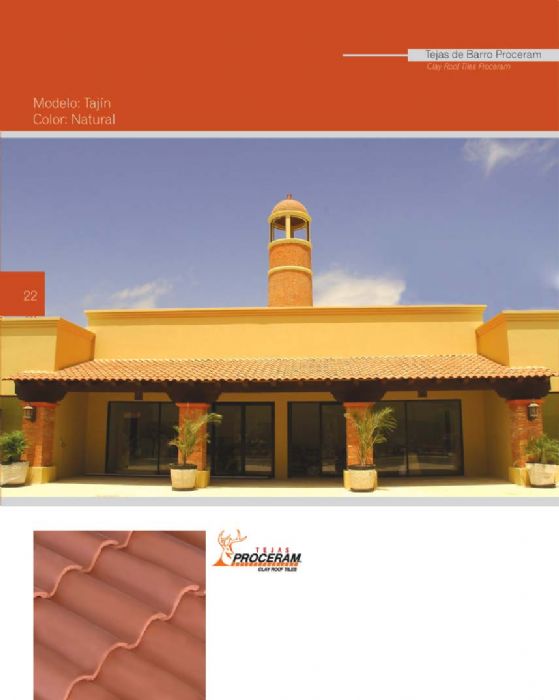 TEJAS DE BARRO - 