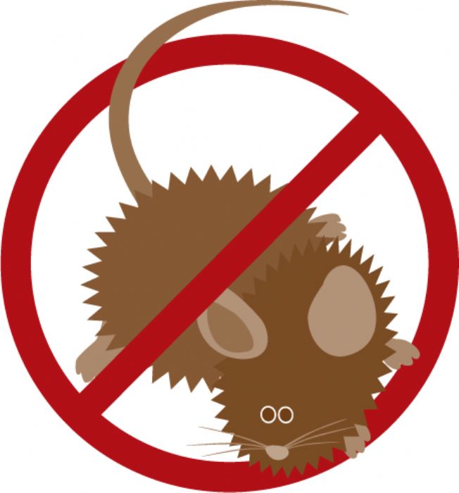 Cepillos de Alta Densidad para Control de Plagas - Sealeze