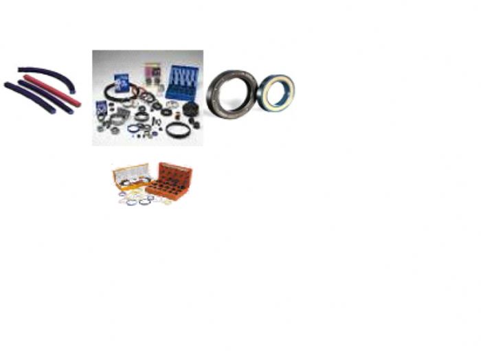 POLYSEALS,ORINGS, O-RINGS VULCANIZADOS, LIMPIADORES, RETENES - DICHTOMATIK