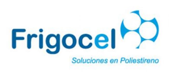 POLIESTIRENO EXPANSIBLE - 