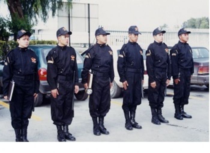 GUARDIAS DE SEGURIDAD INTRAMURO - CODIGO NS