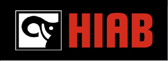 ASESORIA TECNICA - HIAB