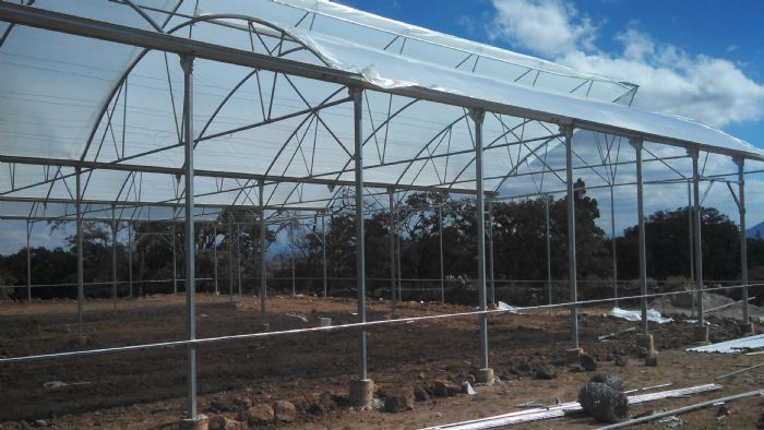 Invernaderos agricolas - CMC