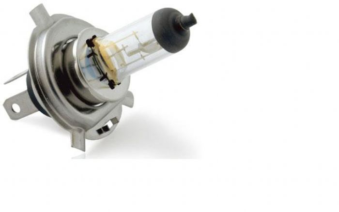 Focos - Lienzos Loscar