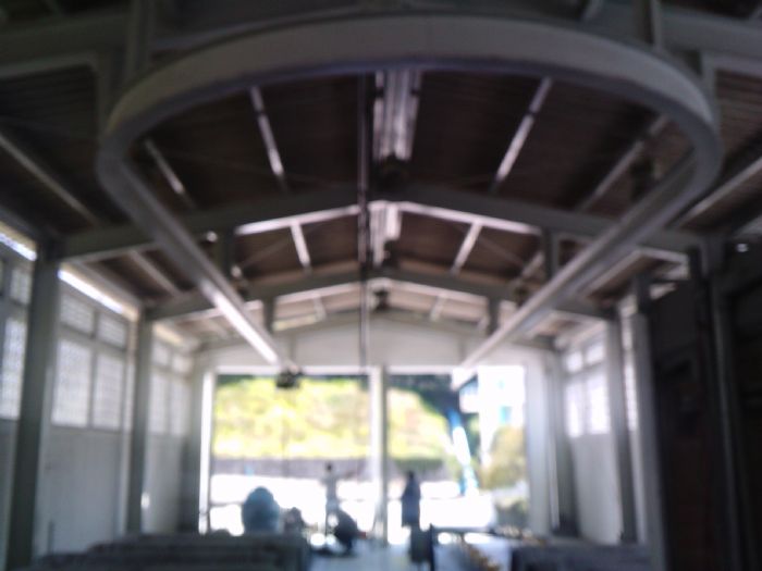 Monorieles de capacidades distintas con radio  - Pervik 