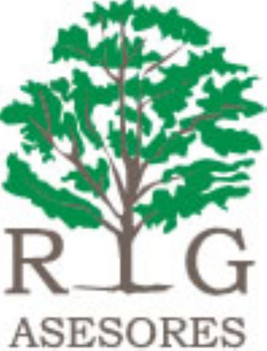 Seguros - RG Asesores en Seguros - México