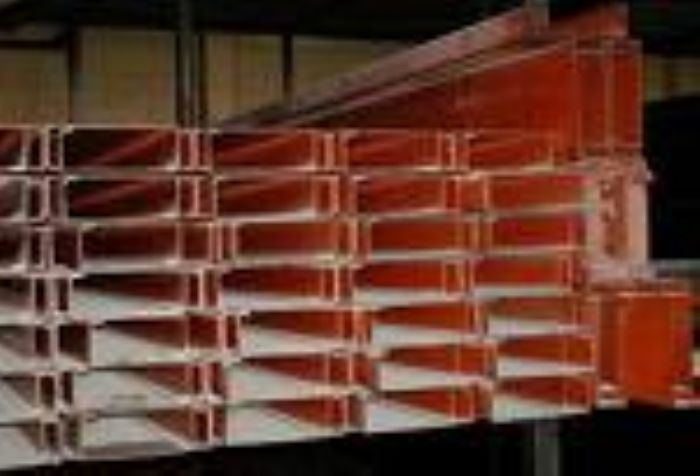 POLIN MONTEN - FERDI