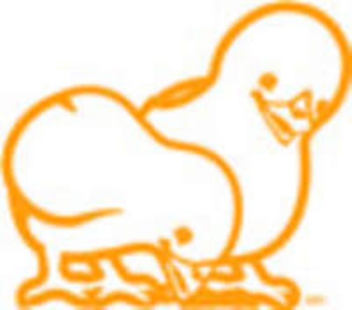 Venta de Huevo  y  Pollo - la buena crianza