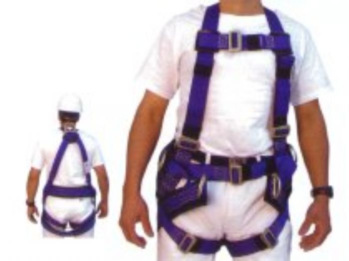 ARNES DE SEGURIDAD - 