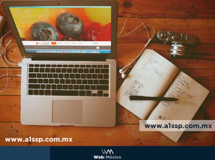 Paquete Web PRO - Desarrollos y Sistemas PWM SAS de CV