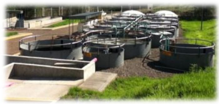 TRATAMIENTO DE AGUAS RESIDUALES - Ecolo-Systems