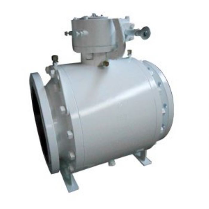 ASTM A105N Ball Valves - 