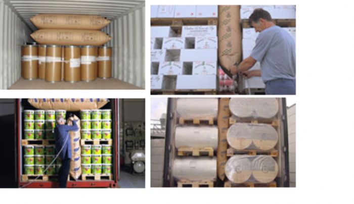 Dunnage Air Bags – Bolsas Inflables - 