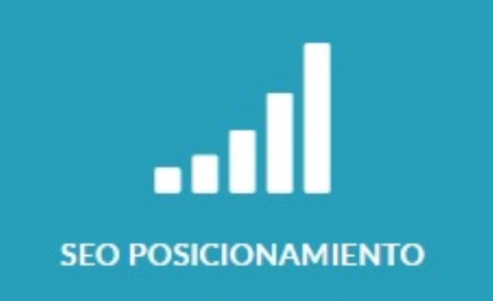 SEO Posicionamiento - Concentra Multimedia