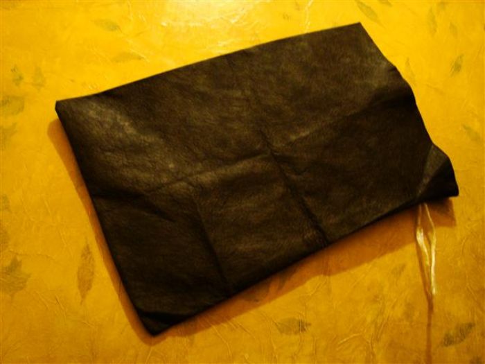 Geocostales - Geocostales