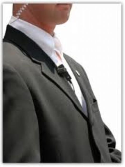 CAPACITACIÓN EN SEGURIDAD PATRIMONIAL - CECADET