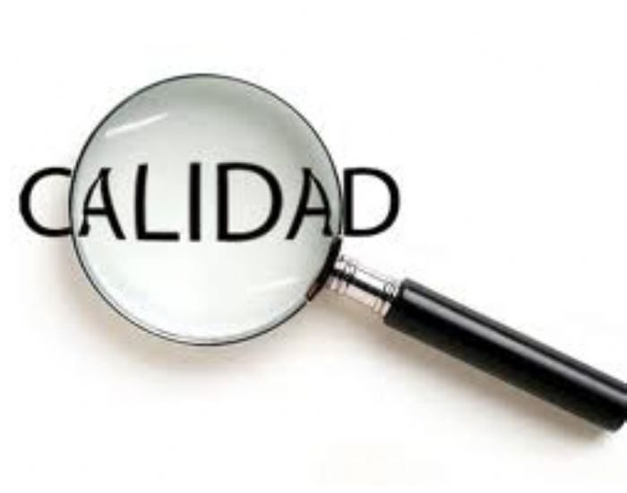 Servicio en Ingeniería de Calidad. - 