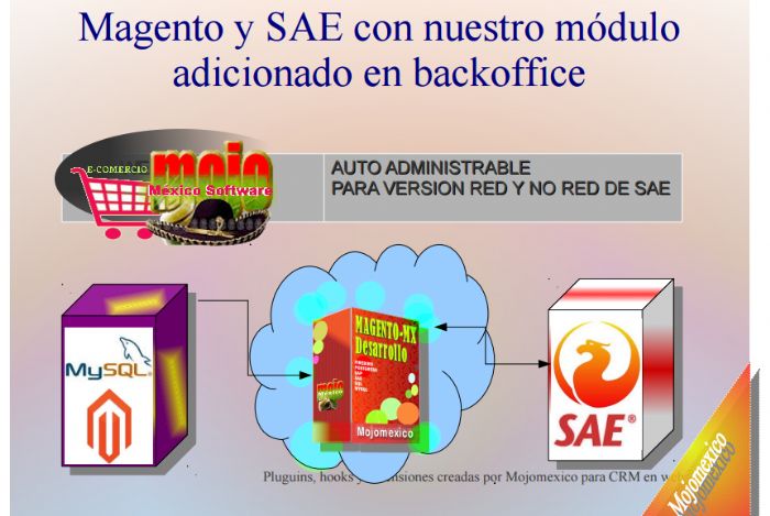 ERP Conexion con Tiendas Web Profesionales - Mojomexico Software