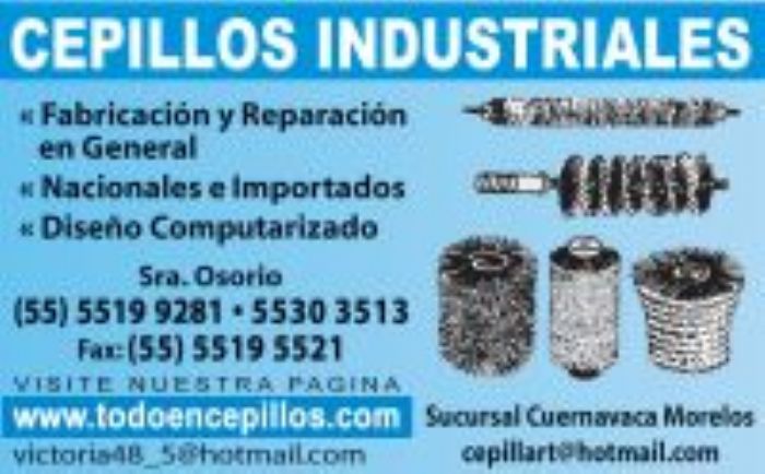 Cepillo Barredora - CEPILLOS INDUSTRIALES