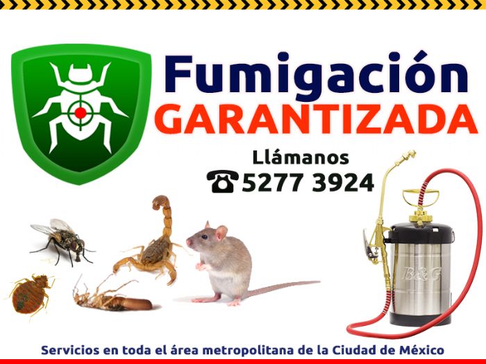 FUMIGACION DE HORMIGAS - 