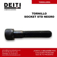 Tornillo Socket