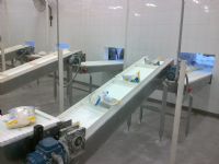 Transportador de Banda con Empujadores