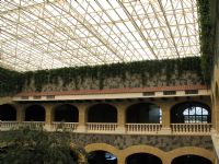 Plantas Artificiales, Palmeras y Mallas de hiedra Artificial