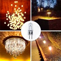 Foco Cacahuate 127v. 50w. Gy6.35 ( Jcd50 )