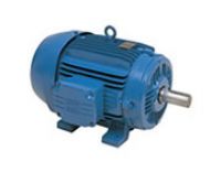 MOTORES ELECTRICOS TRIFASICOS DE BAJA Y MEDIA TENSION - POTENCIA ELECTROMECANICA