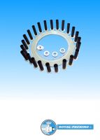 Juntas Aislantes para Bridas - Metal Energized Joints