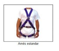 ARNES ESTANDAR