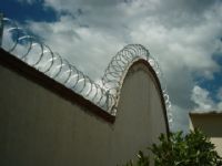 CONCERTINA Y ELECTRIFICADAS - 