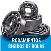 RODAMIENTOS RIGIDOS DE BOLAS  - 