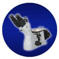 Microscopio Metalográfico Invertido Modelo: SD300M