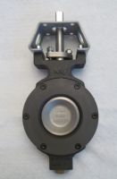 Valvula mariposa BRAY