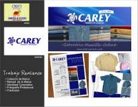 camisas Carey