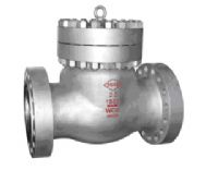 Swing Check Valves