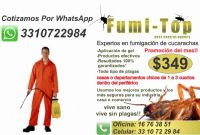 control de plagas - fumigaciones fumi top