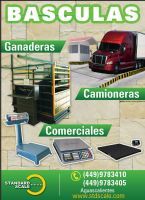 Bascula de Almacen