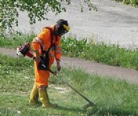 Jardineria - jardineria en general