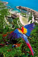 Excursiones a Xcaret